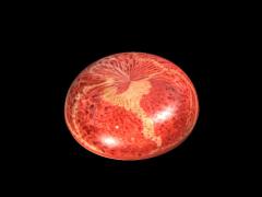 紅珊瑚