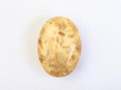 珊瑚玉